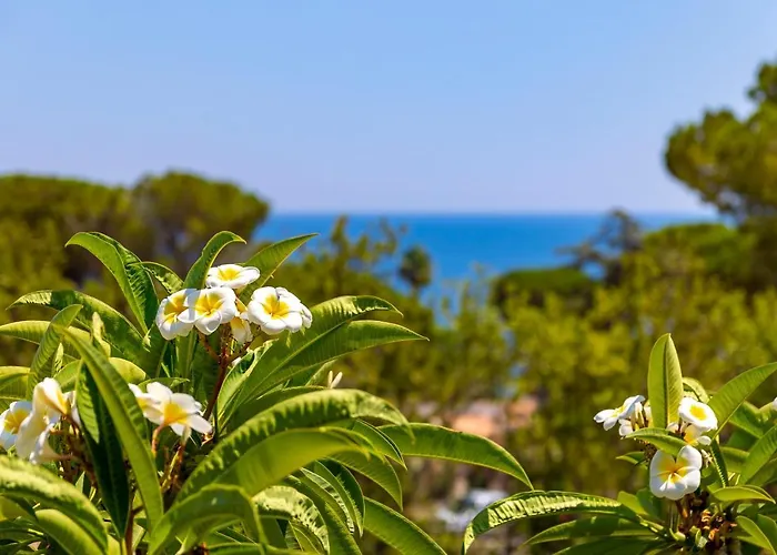 To * 冯塔尼比安奇